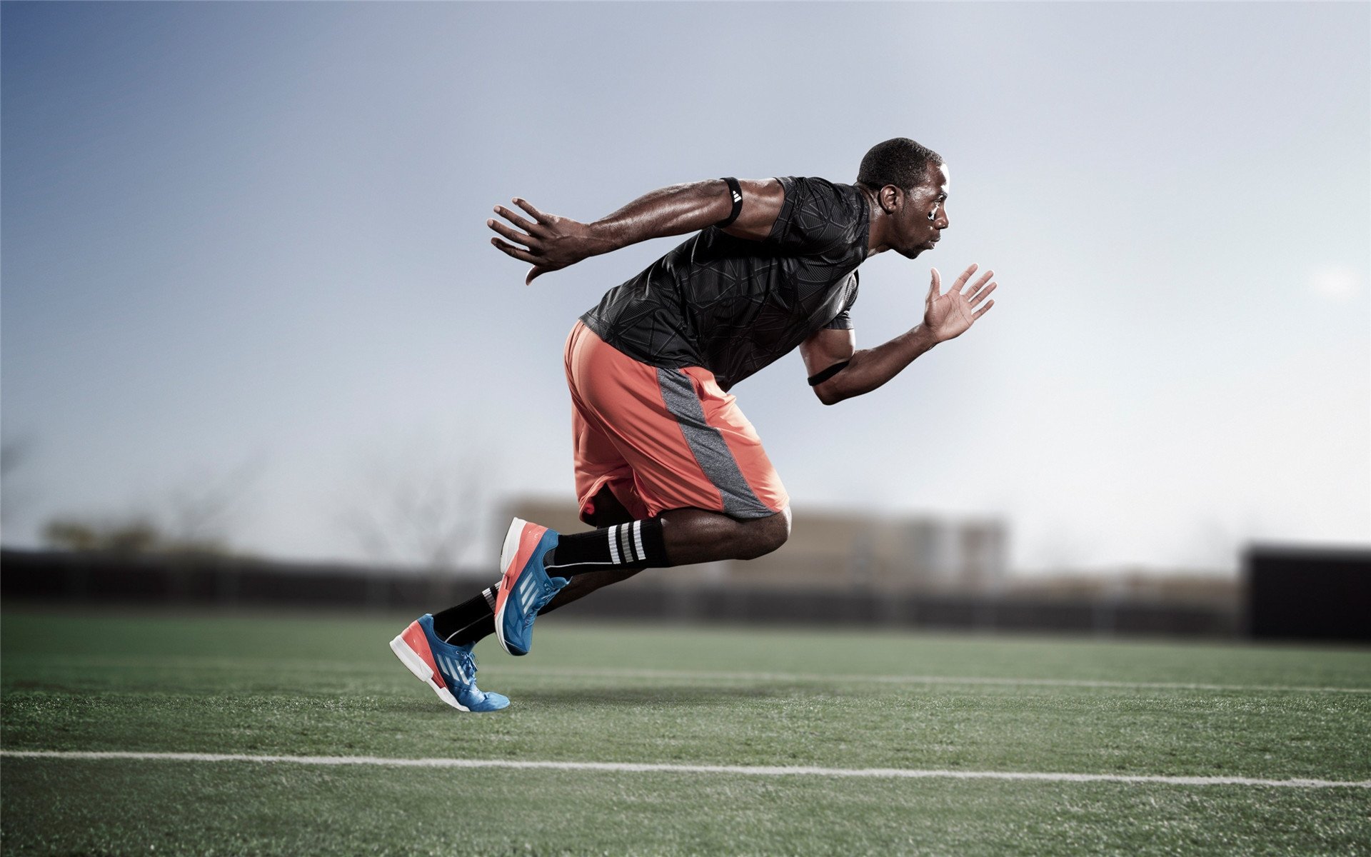 冠军球队球员携手城市公益植树，共塑绿色未来