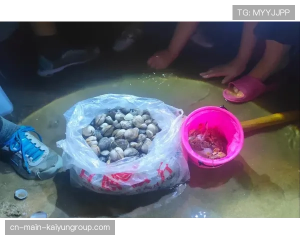 台风过后惠州海滩赶海,满载而归笑开颜,惠州赶海时间表2020 台风过后惠州海滩赶海,满载而归笑开颜,惠州赶海时间表2020